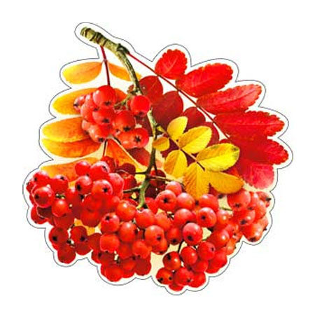 Осенние гроздья рябины А-113-207, 20*20см - купить в интернет-магазине  Карнавал-СПб по цене 25 руб.