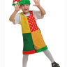 Детский карнавальный костюм Скоморох ткань-плюш 2011